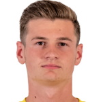 P. Ilko