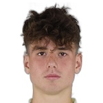 I. Vermesan